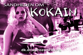 Sandheden om kokain